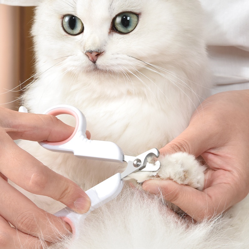 Pet Nail Clippers for Dogs Cat - Home Barbershop 评论和价格